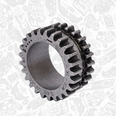 Timing Chain Kit