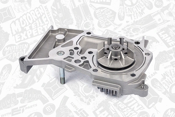 Water Pump & Timing Belt Kit