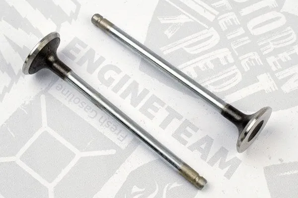 Exhaust Valve