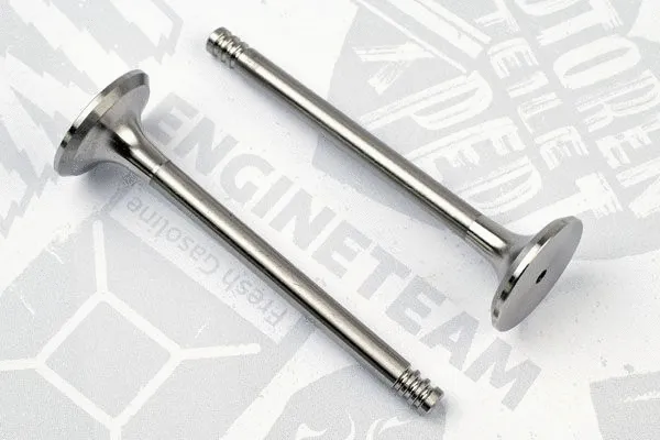 Exhaust Valve