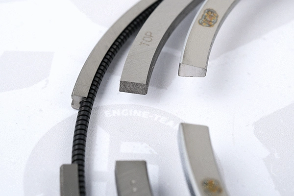 Piston Ring Kit (R1009800)