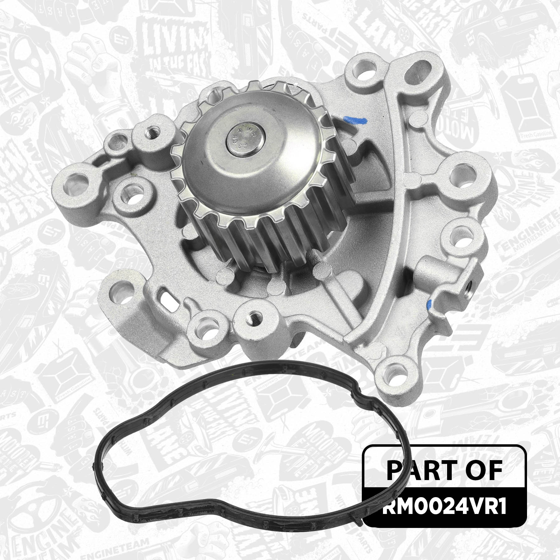 Water Pump & Timing Belt Kit