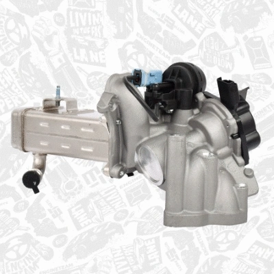EGR Valve