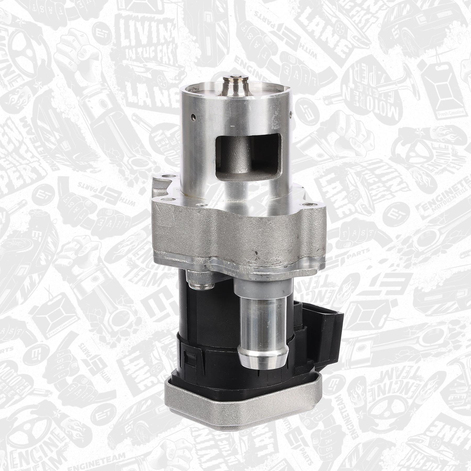 EGR Valve