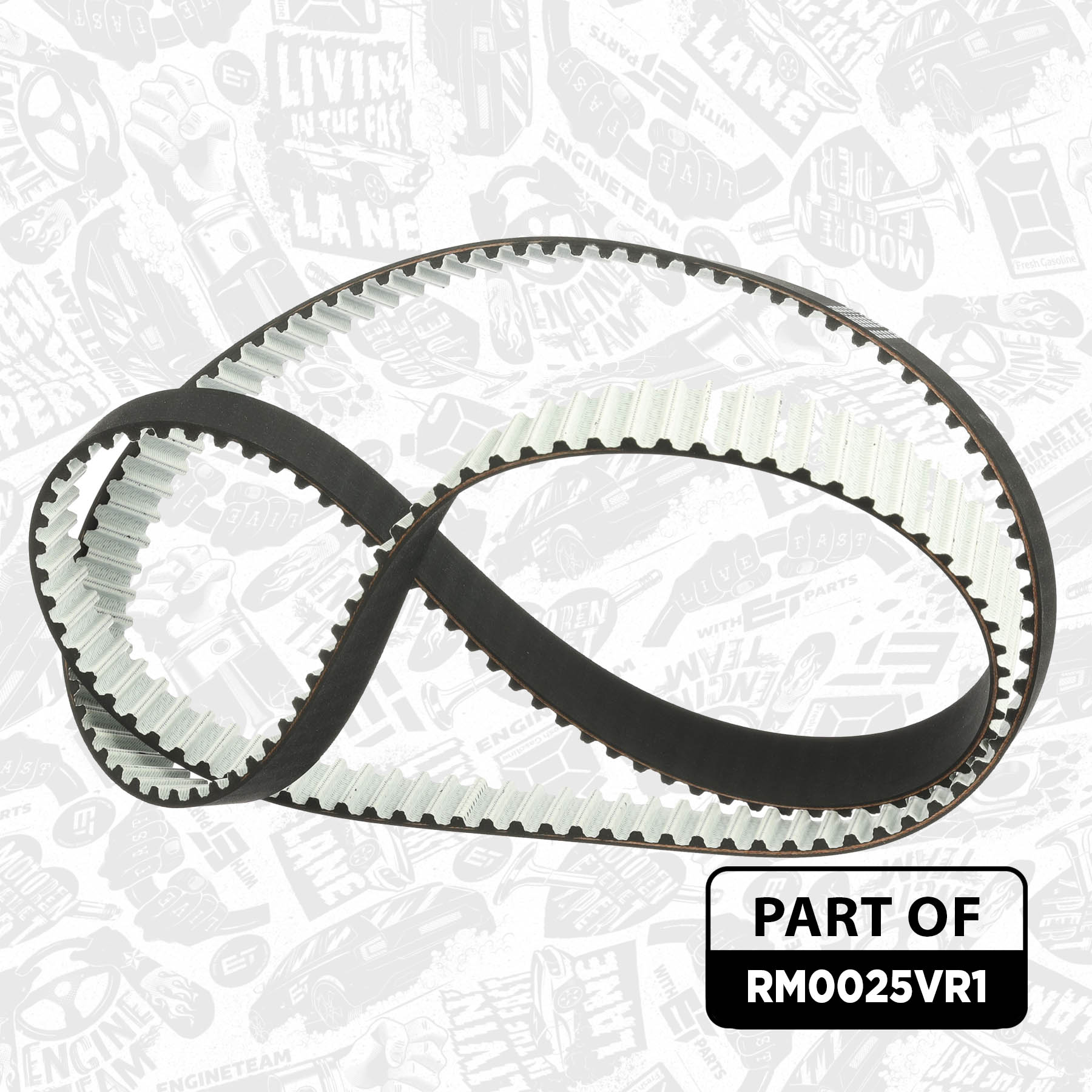 Water Pump & Timing Belt Kit