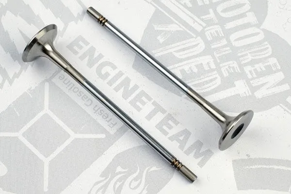 Exhaust Valve