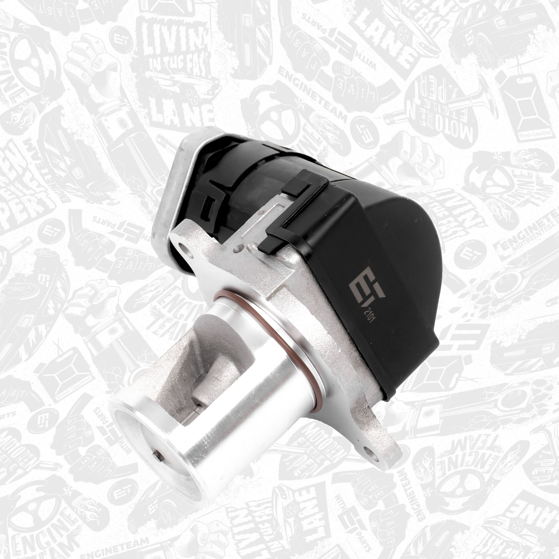 EGR Valve