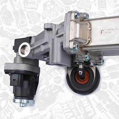 EGR Valve