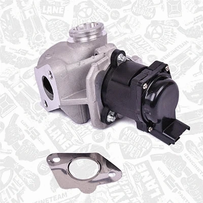 EGR Valve