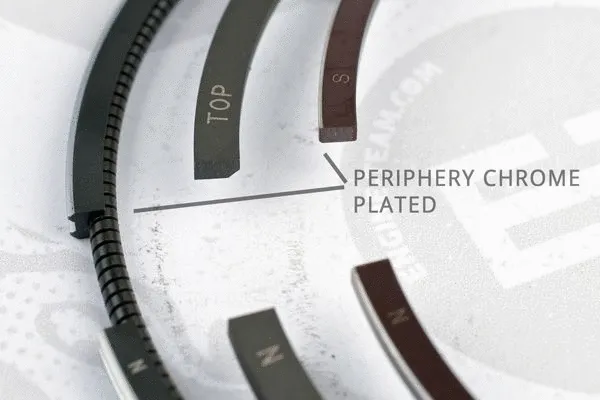 Piston Ring Kit (R1005000)