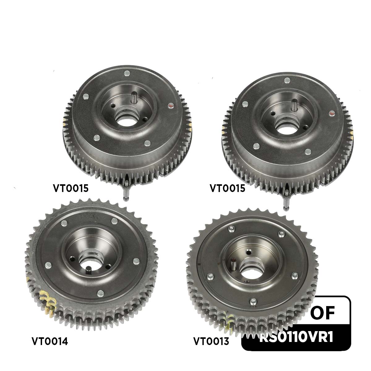Timing Chain Kit (RS0110VR1)