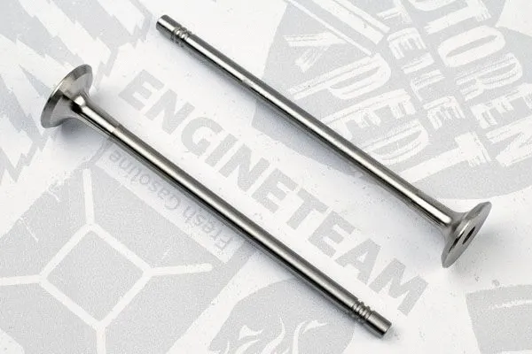 Exhaust Valve