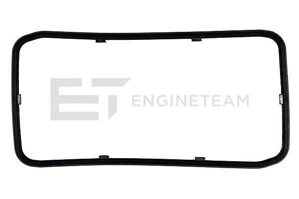 Gasket, oil sump (TV0005)