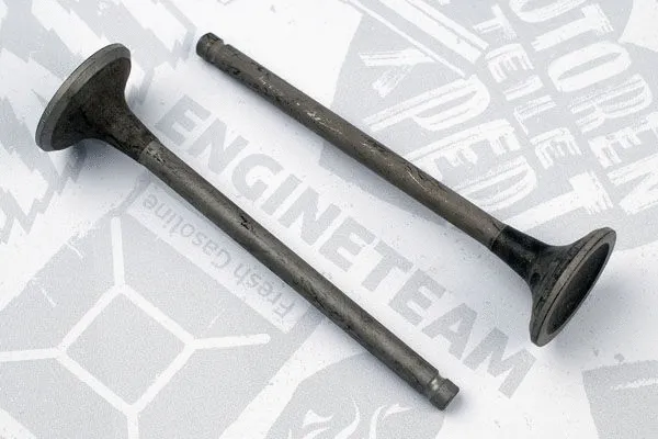 Exhaust Valve