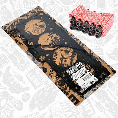 Gasket, cylinder head (TH0024BT)