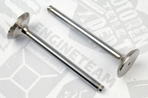Exhaust Valve