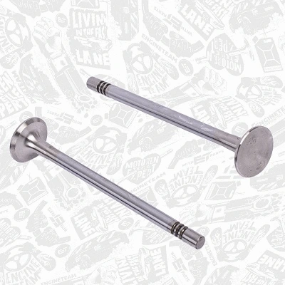Exhaust Valve