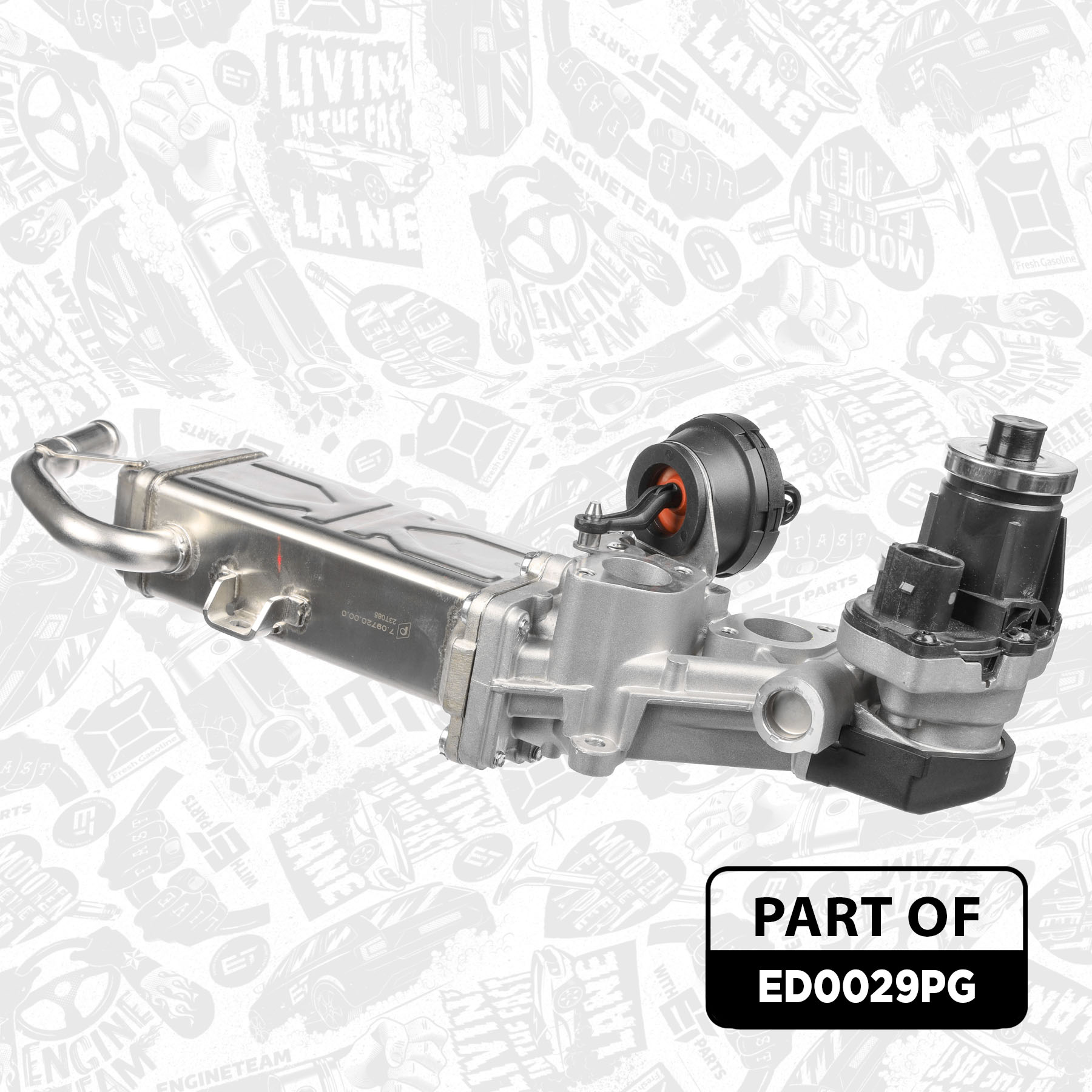 EGR Valve