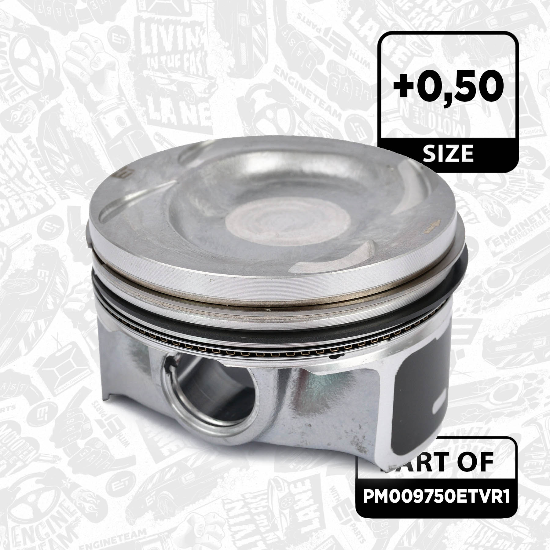 Piston Set