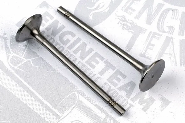 Intake Valve