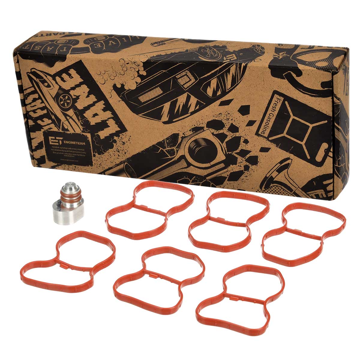Gasket Set, intake manifold (TM0044)