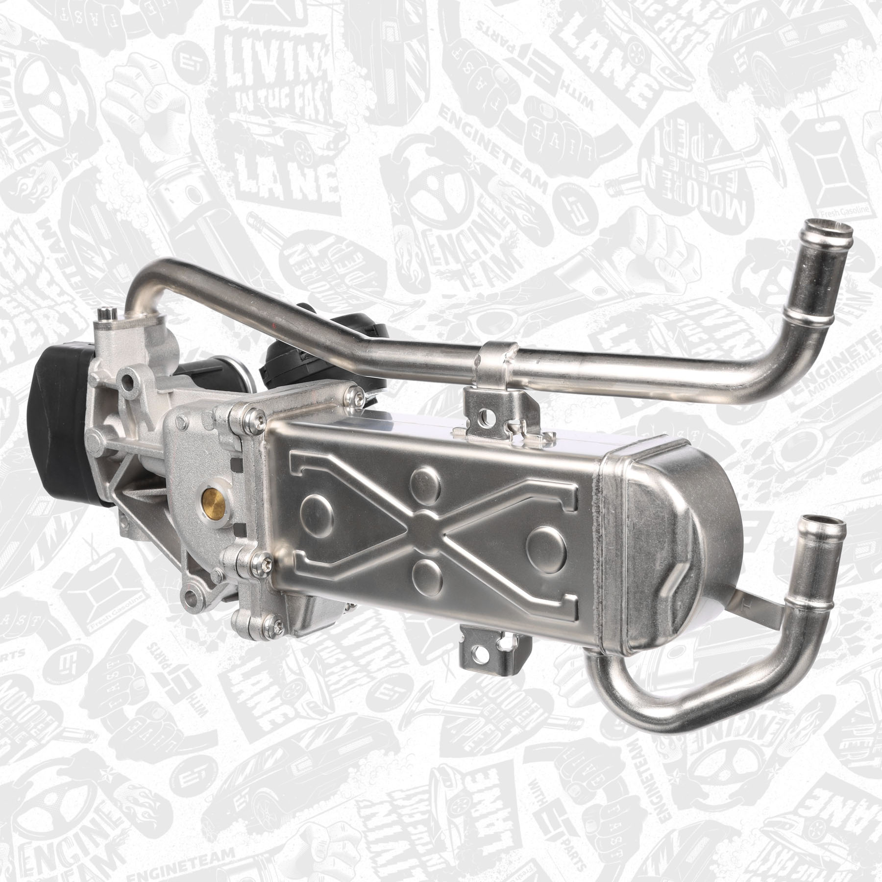 EGR Valve