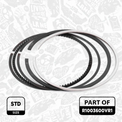 Piston Ring Kit