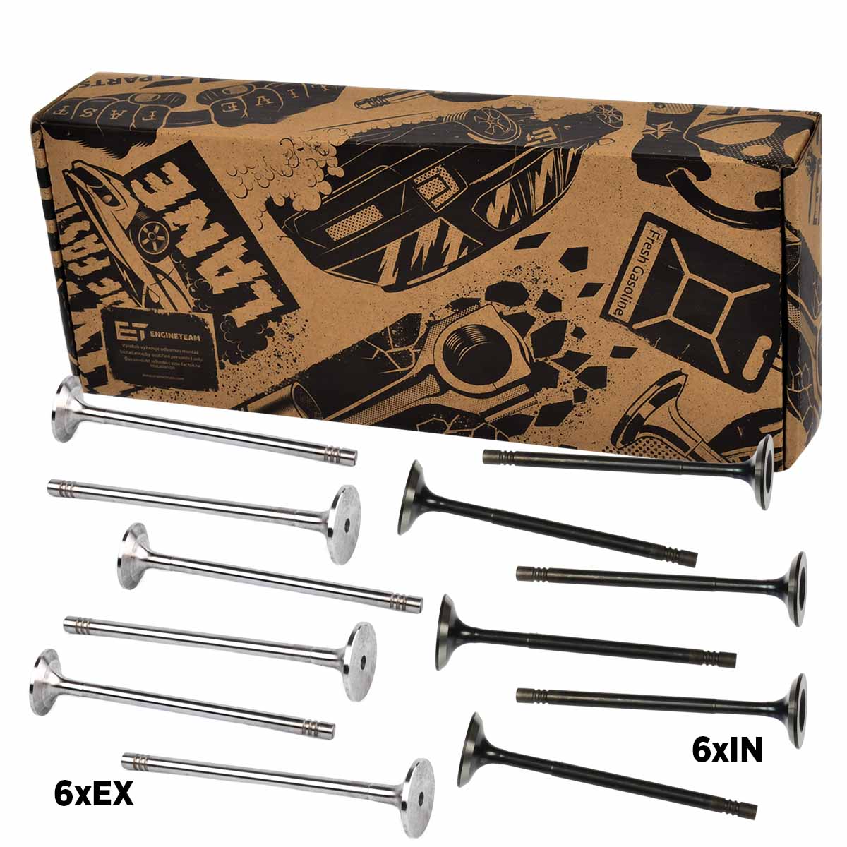 Valve Kit, intake/exhaust valve (VS0015)