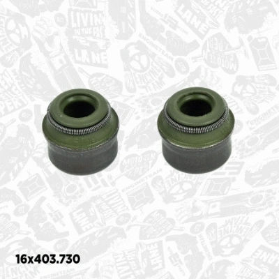 Valve Kit, intake/exhaust valve