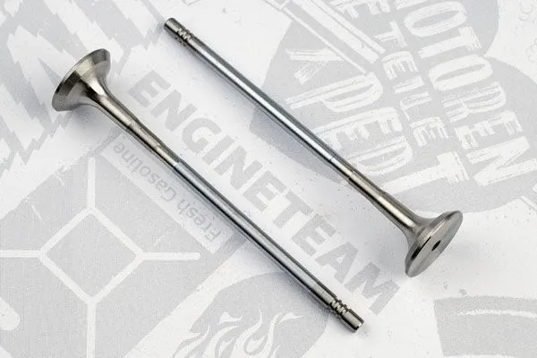 Exhaust Valve