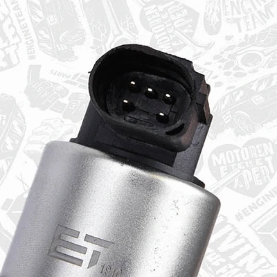EGR Valve