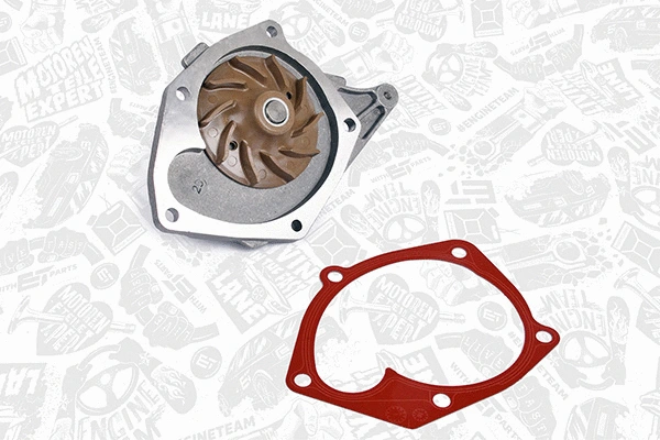 Water Pump & Timing Belt Kit