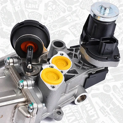 EGR Valve