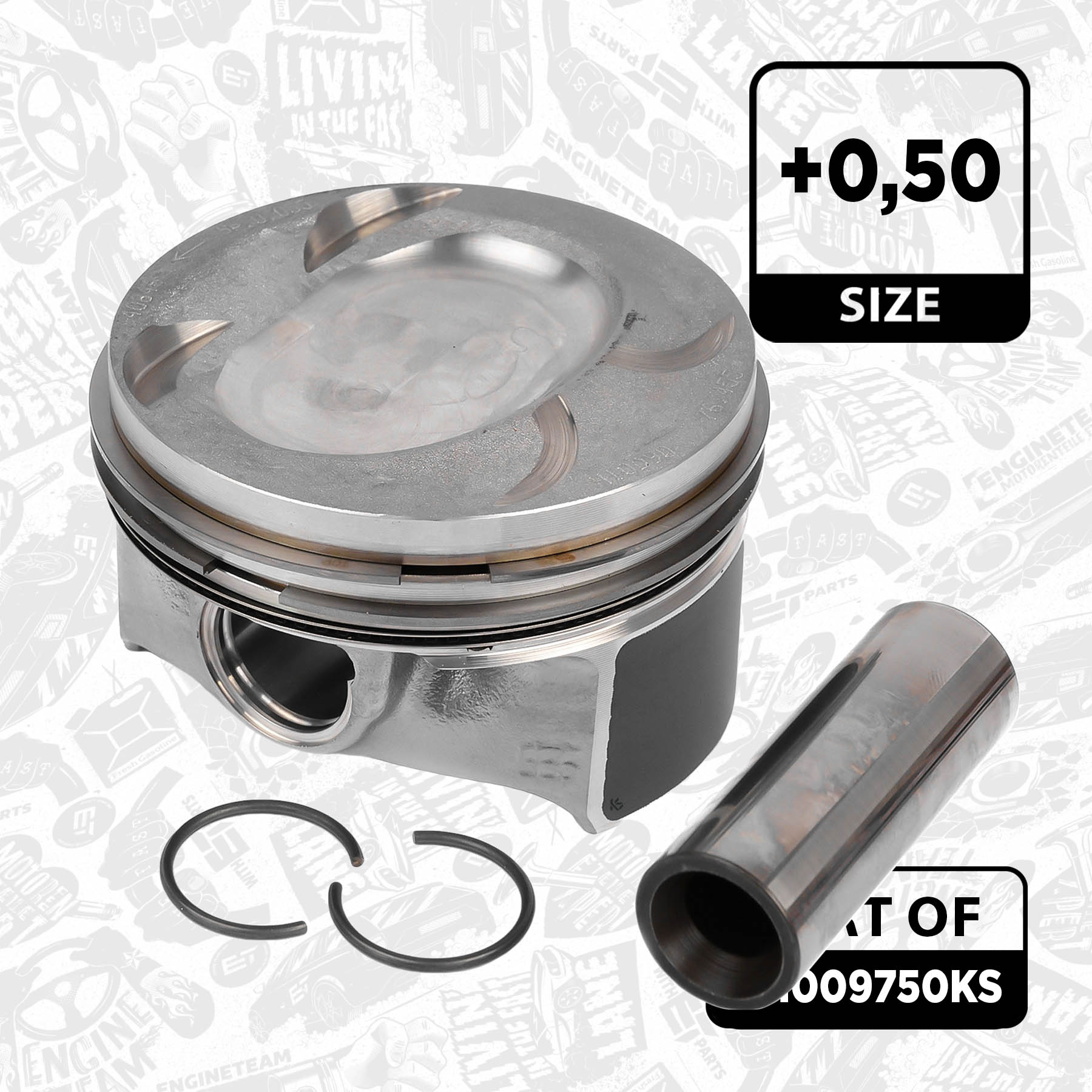 Piston Set