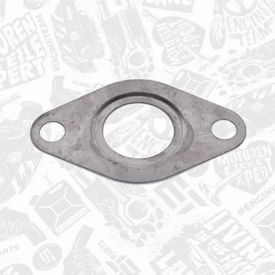 Gasket, EGR valve pipe (TM0019)
