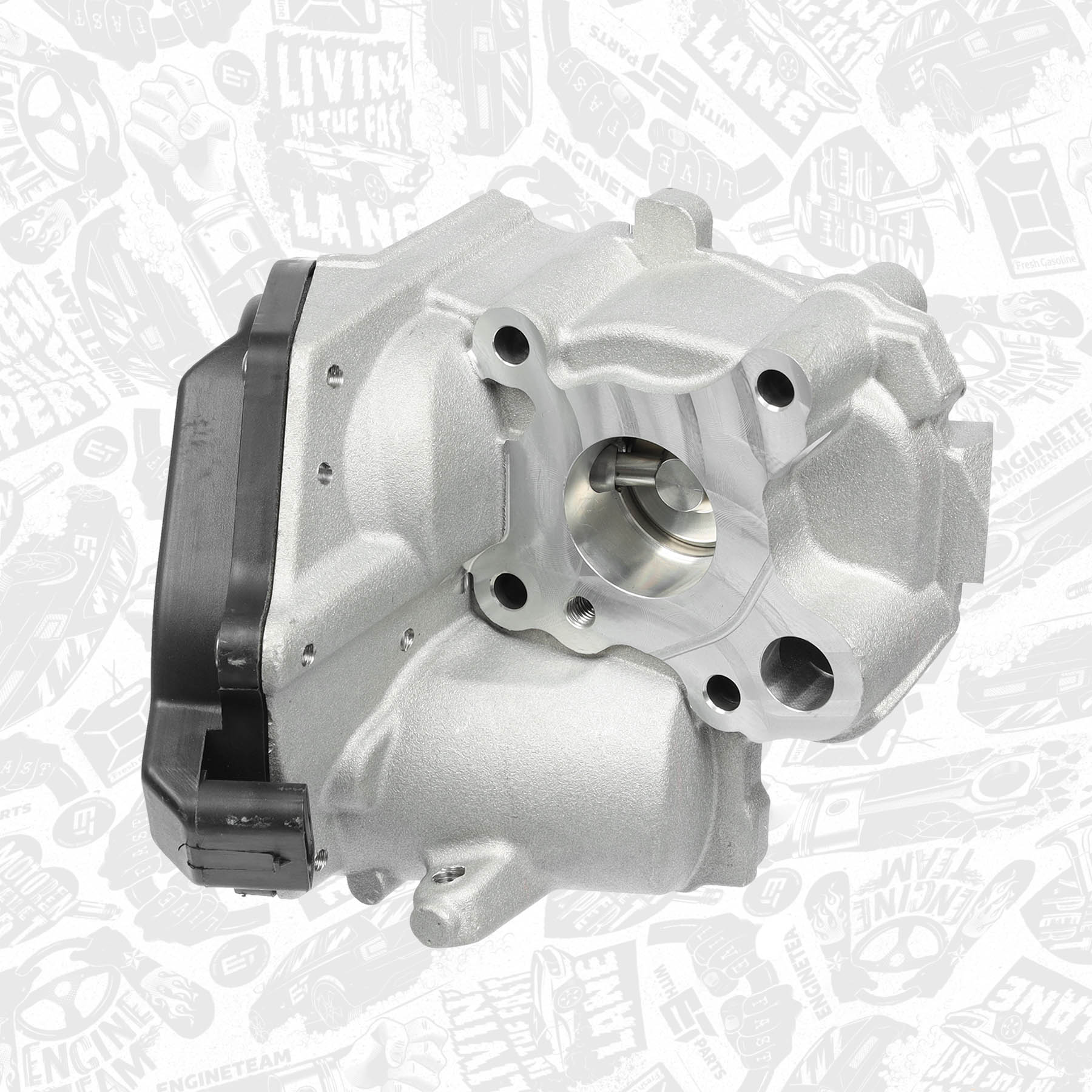 EGR Valve