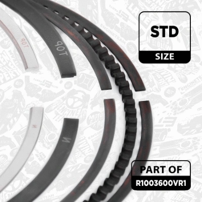 Piston Ring Kit