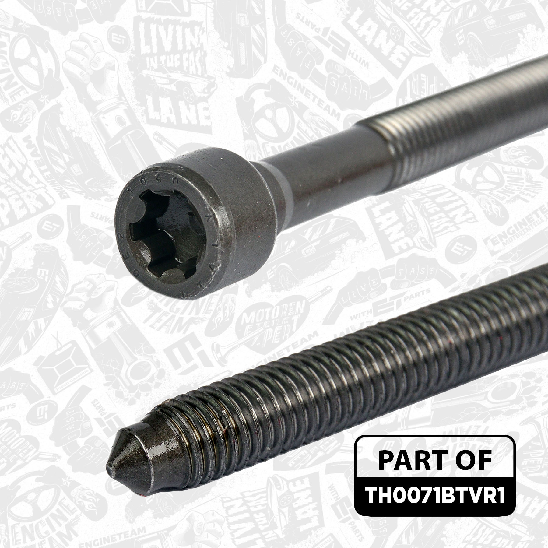 Gasket, cylinder head (TH0071BTVR1)