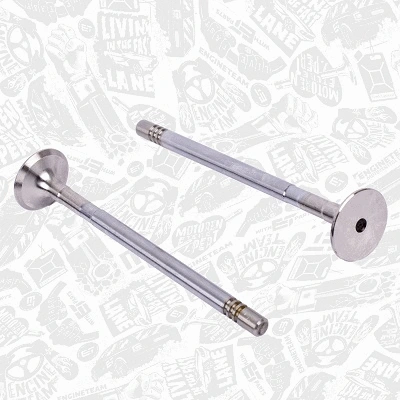 Exhaust Valve
