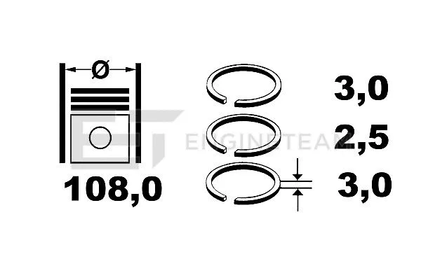 Piston Ring Kit (R1003000)