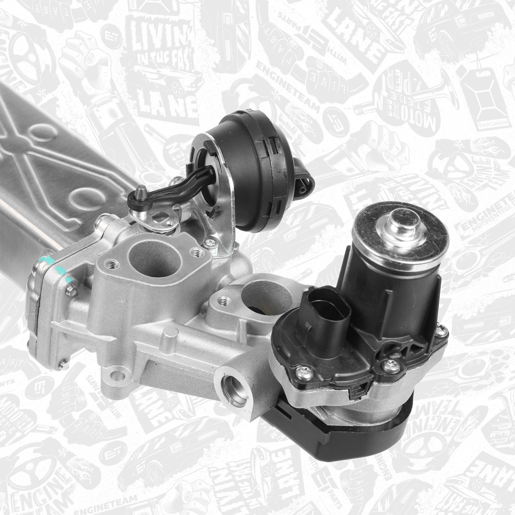 EGR Valve