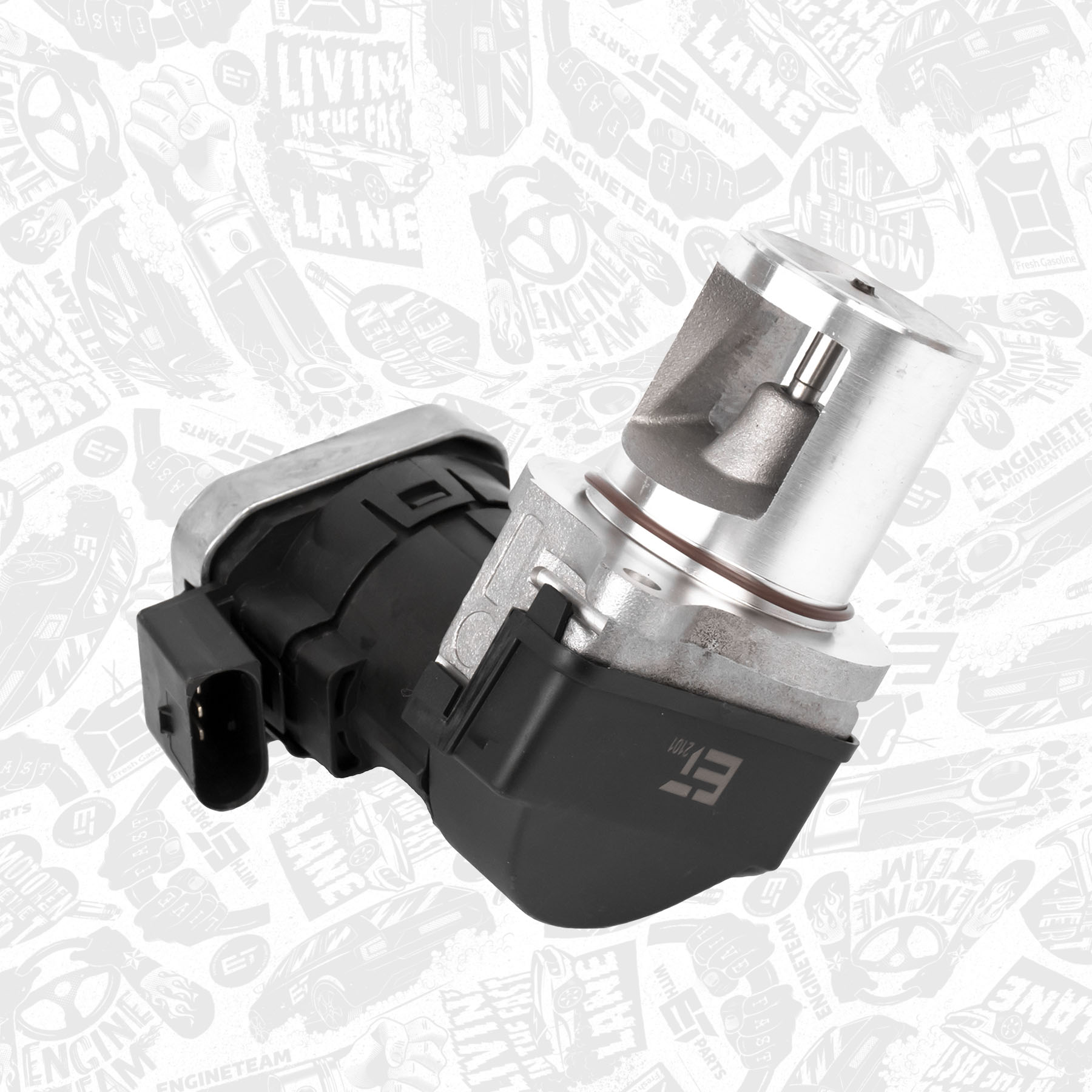 EGR Valve