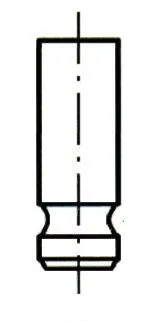 Exhaust Valve (VE0048)