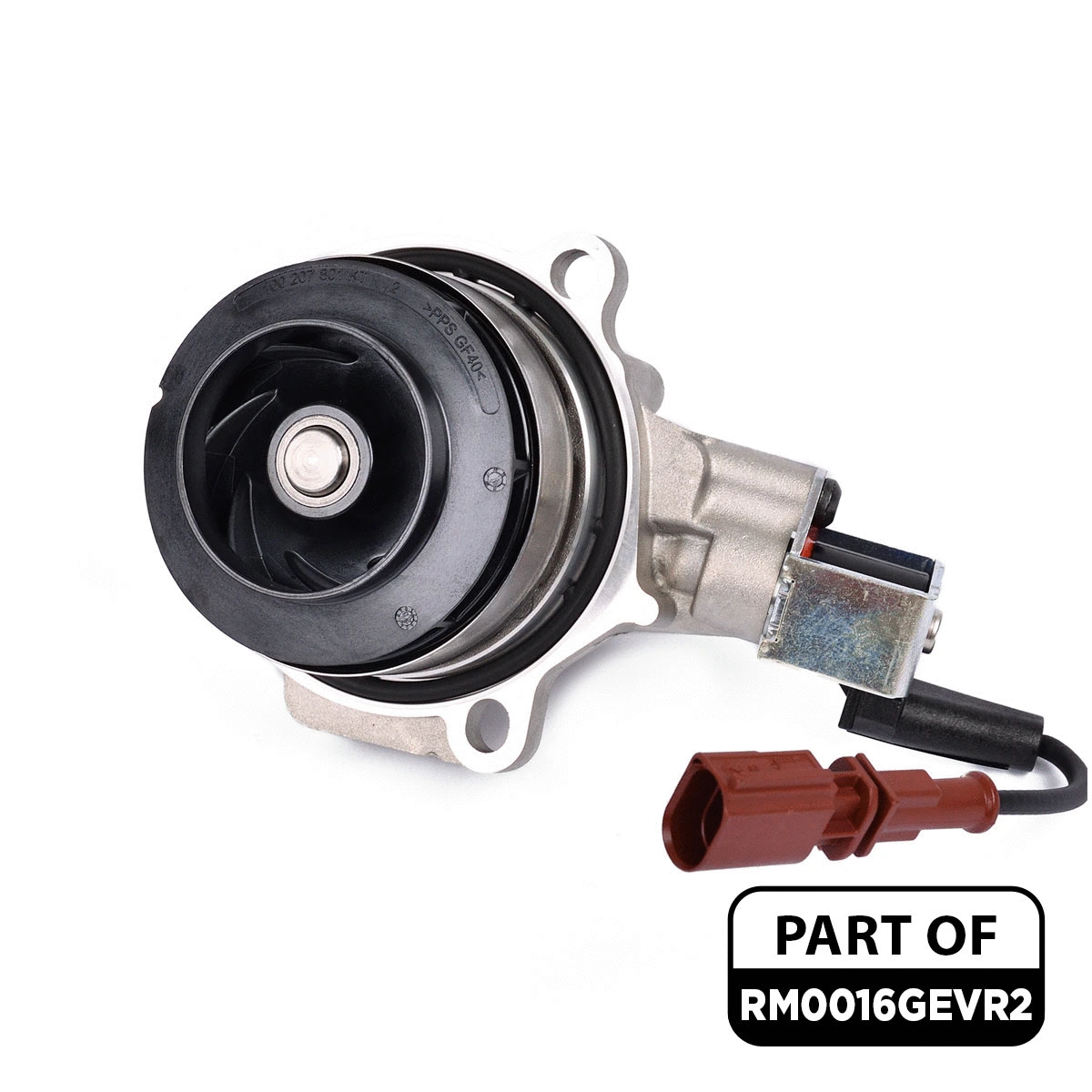 Water Pump & Timing Belt Kit