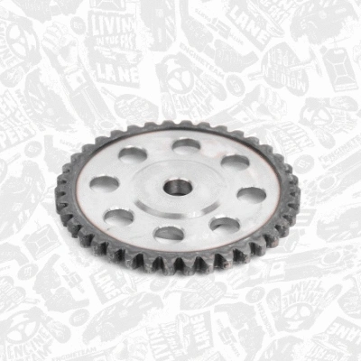 Gear/Sprocket, camshaft