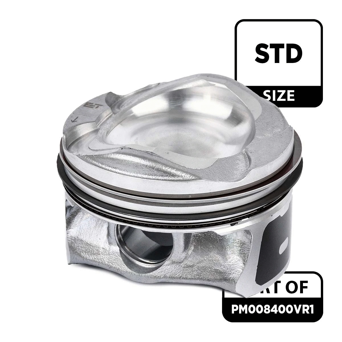 Piston Set