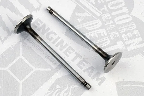 Exhaust Valve