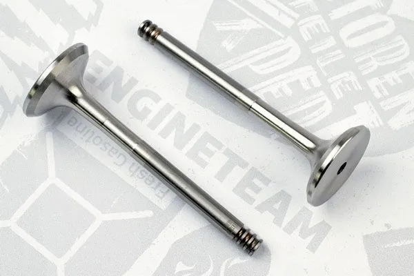 Exhaust Valve