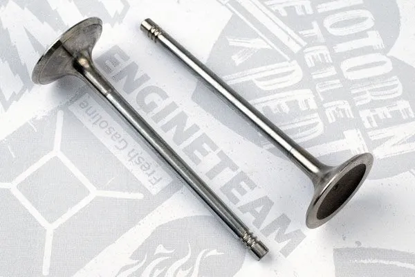 Intake Valve