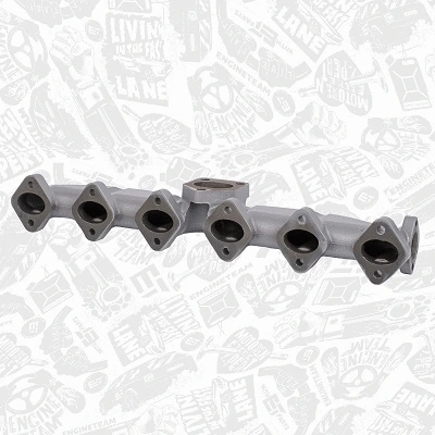 Manifold, exhaust system